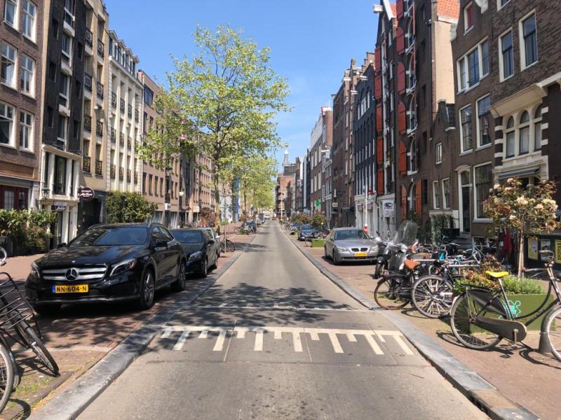 Corona: happier dogs